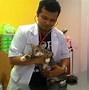 Mutiara Vet Clinic &Amp; Pet Shop Kota Bandung Jawa Barat